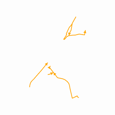 Export Image