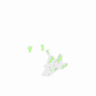 Export Image