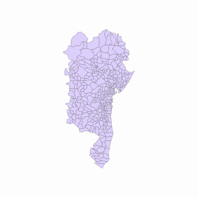 Export Image